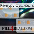 Кенгуру Сущность 25